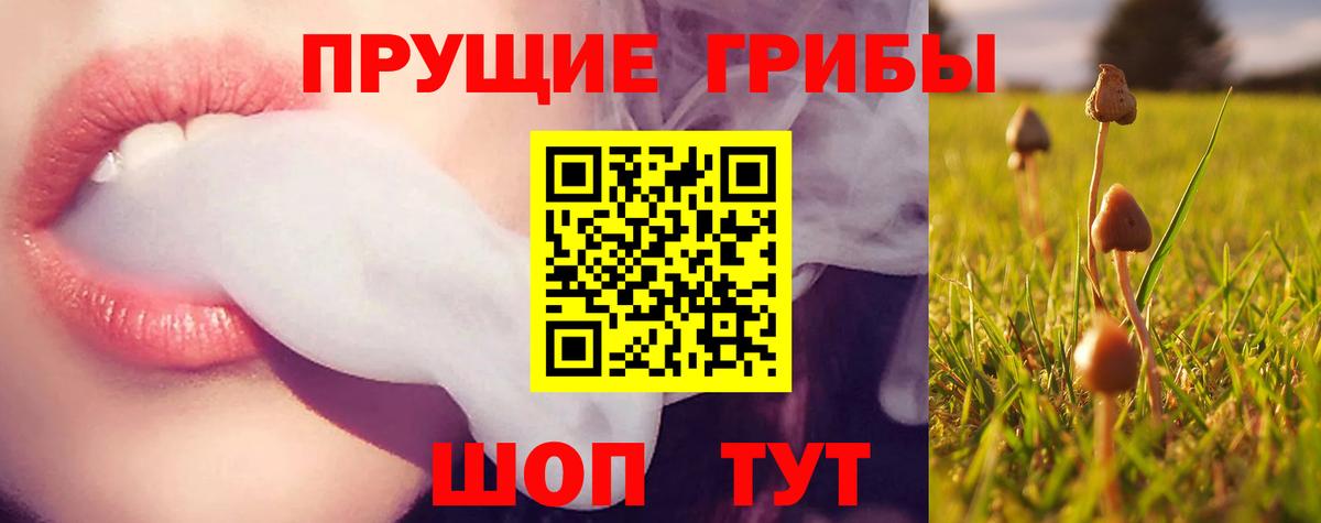 Галлюциногенные грибы GOLDEN TEACHER Асбест